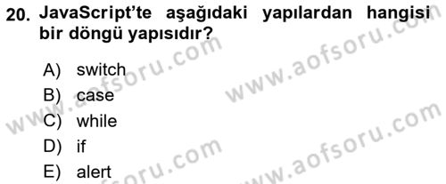 İnternet Tabanlı Programlama Dersi 2024 - 2025 Yılı (Vize) Ara Sınav Soruları 20. Soru