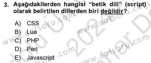 İnternet Tabanlı Programlama Dersi 2024 - 2025 Yılı (Vize) Ara Sınav Soruları 3. Soru