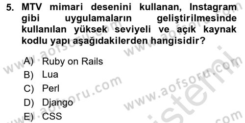 İnternet Tabanlı Programlama Dersi 2024 - 2025 Yılı (Vize) Ara Sınav Soruları 5. Soru