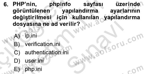 İnternet Tabanlı Programlama Dersi 2024 - 2025 Yılı (Vize) Ara Sınav Soruları 6. Soru