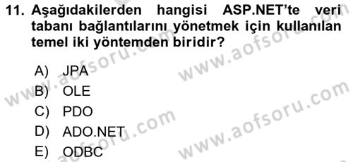 İnternet Tabanlı Programlama Dersi 2024 - 2025 Yılı (Final) Dönem Sonu Sınav Soruları 11. Soru