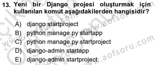 İnternet Tabanlı Programlama Dersi 2024 - 2025 Yılı (Final) Dönem Sonu Sınav Soruları 13. Soru