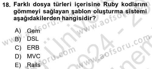 İnternet Tabanlı Programlama Dersi 2024 - 2025 Yılı (Final) Dönem Sonu Sınav Soruları 18. Soru