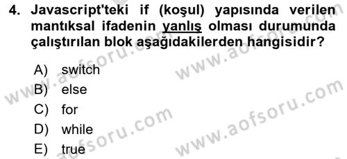 İnternet Tabanlı Programlama Dersi 2024 - 2025 Yılı (Final) Dönem Sonu Sınav Soruları 4. Soru