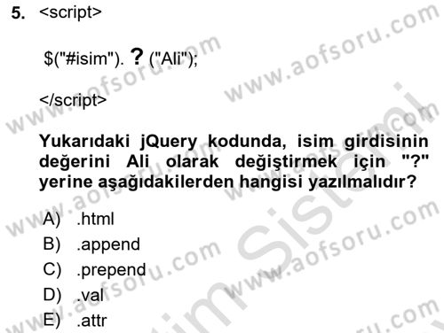 İnternet Tabanlı Programlama Dersi Dönem Sonu Sınavı Deneme Sınav Soruları 5. Soru