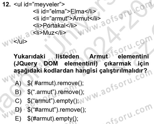 İnternet Tabanlı Programlama Dersi 2024 - 2025 Yılı Yaz Okulu Sınav Soruları 12. Soru