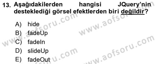 İnternet Tabanlı Programlama Dersi 2024 - 2025 Yılı Yaz Okulu Sınav Soruları 13. Soru