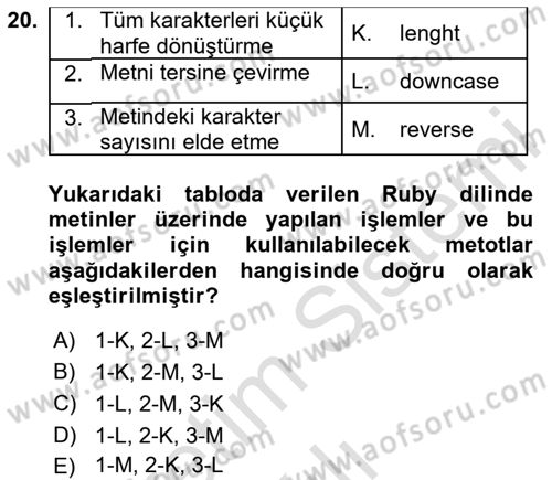İnternet Tabanlı Programlama Dersi 2024 - 2025 Yılı Yaz Okulu Sınav Soruları 20. Soru