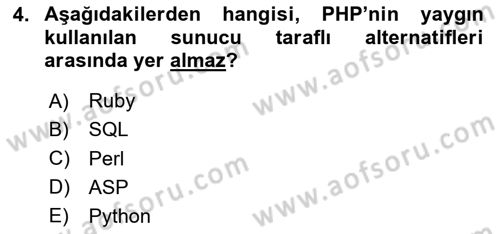 İnternet Tabanlı Programlama Dersi 2024 - 2025 Yılı Yaz Okulu Sınav Soruları 4. Soru