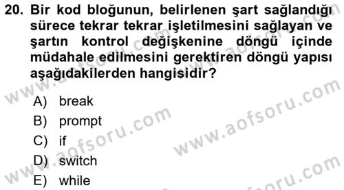 İnternet Tabanlı Programlama Dersi 2025 - 2026 Yılı (Vize) Ara Sınav Soruları 20. Soru