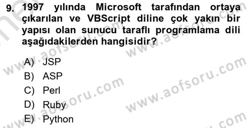 İnternet Tabanlı Programlama Dersi 2025 - 2026 Yılı (Vize) Ara Sınav Soruları 9. Soru