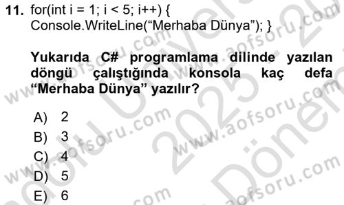 İnternet Tabanlı Programlama Dersi 2025 - 2026 Yılı (Final) Dönem Sonu Sınav Soruları 11. Soru
