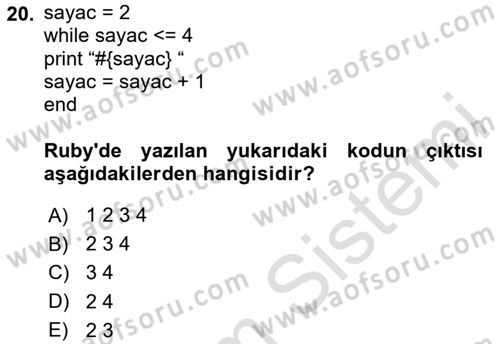 İnternet Tabanlı Programlama Dersi 2025 - 2026 Yılı (Final) Dönem Sonu Sınav Soruları 20. Soru