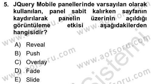 İnternet Tabanlı Programlama Dersi 2025 - 2026 Yılı (Final) Dönem Sonu Sınav Soruları 5. Soru