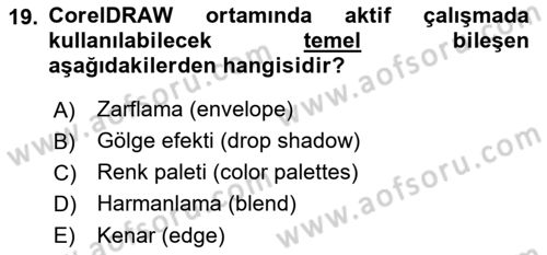 Web Grafik Tasarımı Dersi 2018 - 2019 Yılı (Vize) Ara Sınav Soruları 19. Soru
