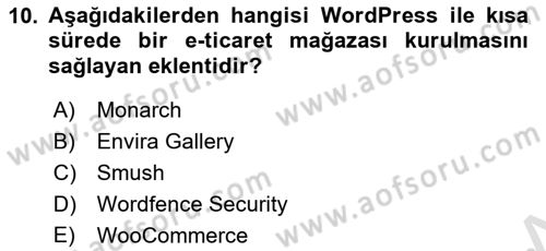 Web Grafik Tasarımı Dersi 2022 - 2023 Yılı Yaz Okulu Sınav Soruları 10. Soru
