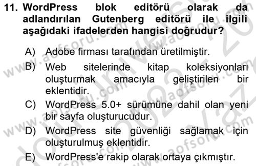 Web Grafik Tasarımı Dersi 2022 - 2023 Yılı Yaz Okulu Sınav Soruları 11. Soru