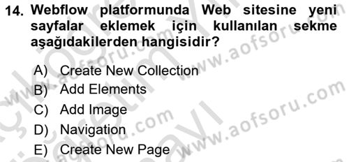 Web Grafik Tasarımı Dersi 2022 - 2023 Yılı Yaz Okulu Sınav Soruları 14. Soru