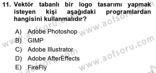 Web Grafik Tasarımı Dersi 2023 - 2024 Yılı (Vize) Ara Sınav Soruları 11. Soru