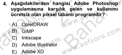 Web Grafik Tasarımı Dersi 2023 - 2024 Yılı (Vize) Ara Sınav Soruları 4. Soru