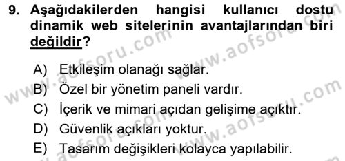 Web Grafik Tasarımı Dersi 2023 - 2024 Yılı (Vize) Ara Sınav Soruları 9. Soru