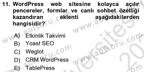 Web Grafik Tasarımı Dersi 2023 - 2024 Yılı (Final) Dönem Sonu Sınav Soruları 11. Soru