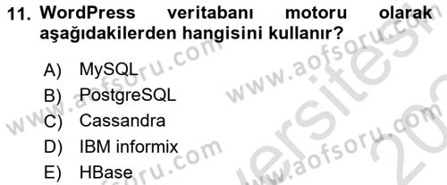 Web Grafik Tasarımı Dersi 2023 - 2024 Yılı Yaz Okulu Sınav Soruları 11. Soru