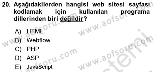 Web Grafik Tasarımı Dersi 2023 - 2024 Yılı Yaz Okulu Sınav Soruları 20. Soru