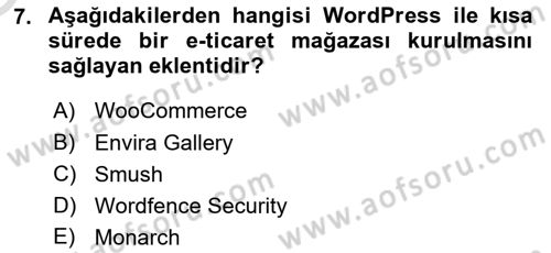 Web Grafik Tasarımı Dersi 2023 - 2024 Yılı Yaz Okulu Sınav Soruları 7. Soru