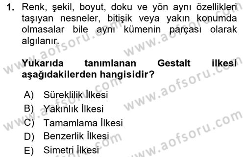 Web Grafik Tasarımı Dersi 2024 - 2025 Yılı (Vize) Ara Sınav Soruları 1. Soru