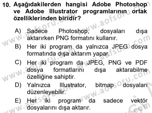 Web Grafik Tasarımı Dersi 2024 - 2025 Yılı (Vize) Ara Sınav Soruları 10. Soru