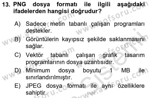 Web Grafik Tasarımı Dersi 2024 - 2025 Yılı (Vize) Ara Sınav Soruları 13. Soru