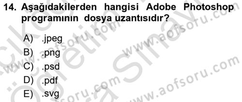 Web Grafik Tasarımı Dersi 2024 - 2025 Yılı (Vize) Ara Sınav Soruları 14. Soru