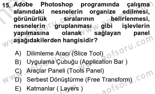 Web Grafik Tasarımı Dersi 2024 - 2025 Yılı (Vize) Ara Sınav Soruları 15. Soru