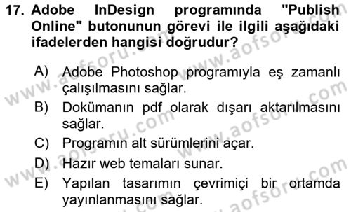 Web Grafik Tasarımı Dersi 2024 - 2025 Yılı (Vize) Ara Sınav Soruları 17. Soru