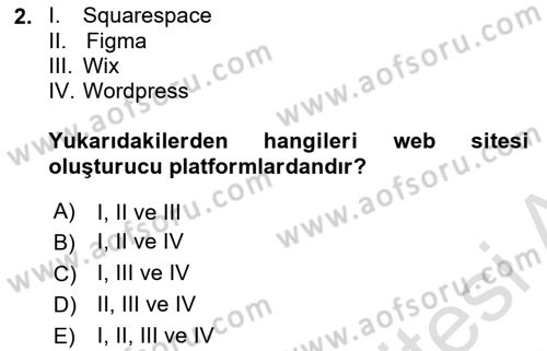 Web Grafik Tasarımı Dersi 2024 - 2025 Yılı (Vize) Ara Sınav Soruları 2. Soru