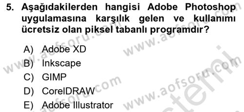 Web Grafik Tasarımı Dersi 2024 - 2025 Yılı (Vize) Ara Sınav Soruları 5. Soru