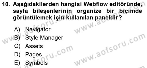 Web Grafik Tasarımı Dersi 2024 - 2025 Yılı (Final) Dönem Sonu Sınav Soruları 10. Soru