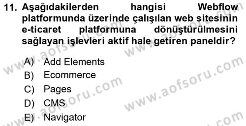 Web Grafik Tasarımı Dersi 2024 - 2025 Yılı (Final) Dönem Sonu Sınav Soruları 11. Soru