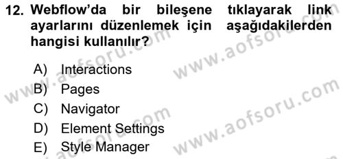 Web Grafik Tasarımı Dersi 2024 - 2025 Yılı (Final) Dönem Sonu Sınav Soruları 12. Soru