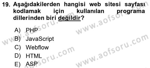 Web Grafik Tasarımı Dersi 2024 - 2025 Yılı (Final) Dönem Sonu Sınav Soruları 19. Soru