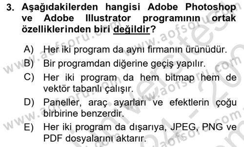 Web Grafik Tasarımı Dersi 2024 - 2025 Yılı (Final) Dönem Sonu Sınav Soruları 3. Soru
