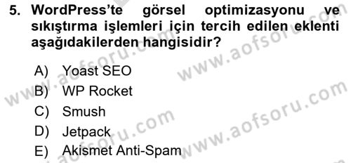 Web Grafik Tasarımı Dersi 2024 - 2025 Yılı (Final) Dönem Sonu Sınav Soruları 5. Soru
