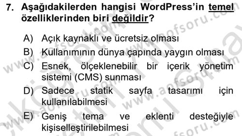 Web Grafik Tasarımı Dersi 2024 - 2025 Yılı (Final) Dönem Sonu Sınav Soruları 7. Soru