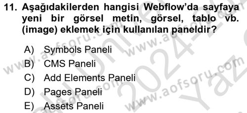Web Grafik Tasarımı Dersi 2024 - 2025 Yılı Yaz Okulu Sınav Soruları 11. Soru