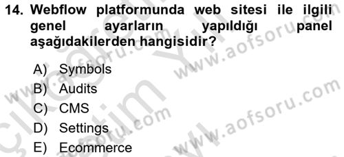 Web Grafik Tasarımı Dersi 2024 - 2025 Yılı Yaz Okulu Sınav Soruları 14. Soru