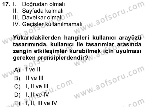 Web Grafik Tasarımı Dersi 2024 - 2025 Yılı Yaz Okulu Sınav Soruları 17. Soru