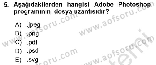 Web Grafik Tasarımı Dersi 2024 - 2025 Yılı Yaz Okulu Sınav Soruları 5. Soru