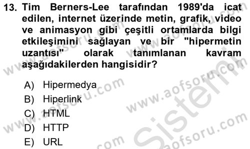 Web Grafik Tasarımı Dersi 2025 - 2026 Yılı (Vize) Ara Sınav Soruları 13. Soru