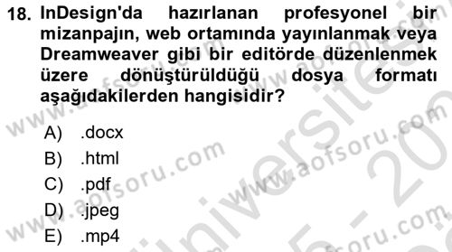 Web Grafik Tasarımı Dersi 2025 - 2026 Yılı (Vize) Ara Sınav Soruları 18. Soru
